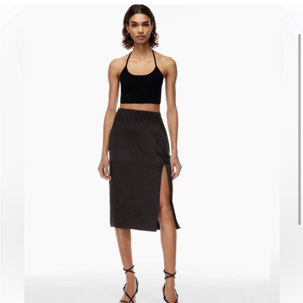 NWT Eames skirt, black skirt, Babaton / Aritizia